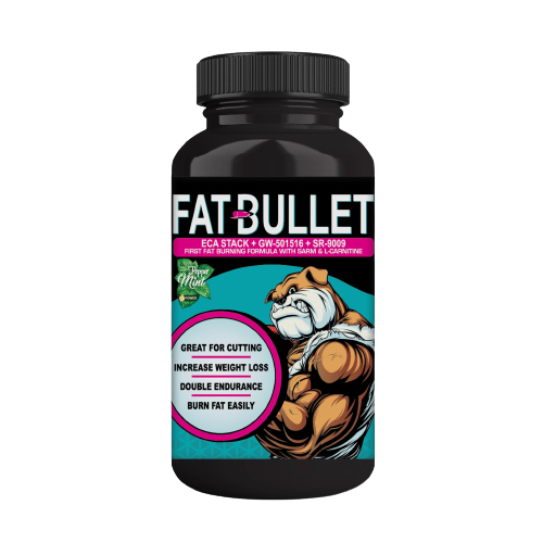 Fat Bullet