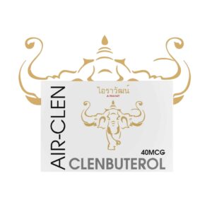 Airavat Labs Air Clen