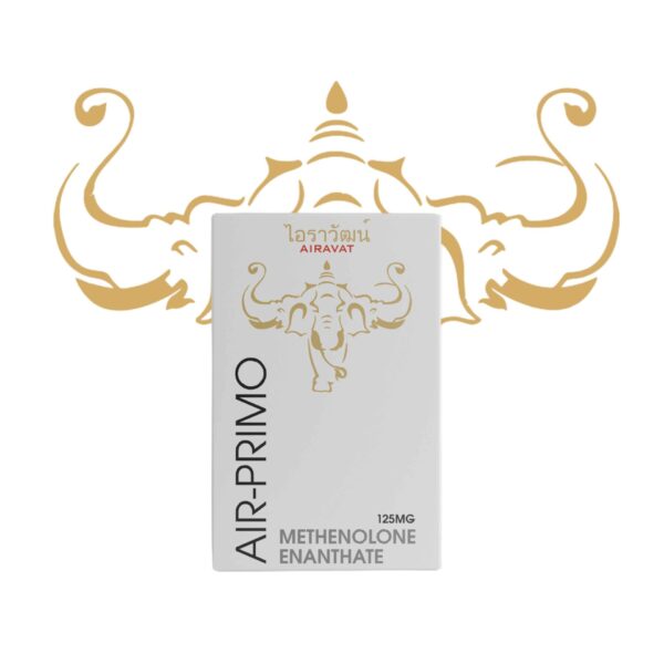 Airavat Labs Air Primo