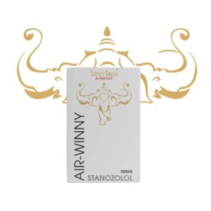 Airavat Labs Air Winny