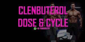 Clenbuterol Fat-Loss Cycle