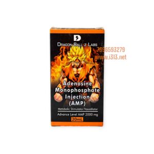 Dragon Ball Z Labs AMP