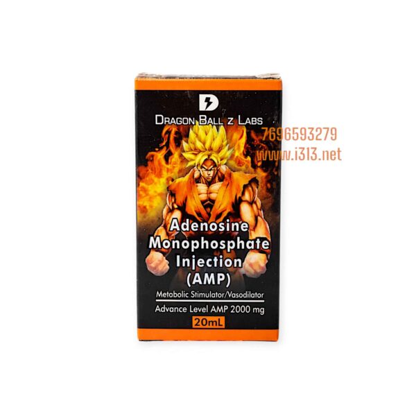 Dragon Ball Z Labs AMP