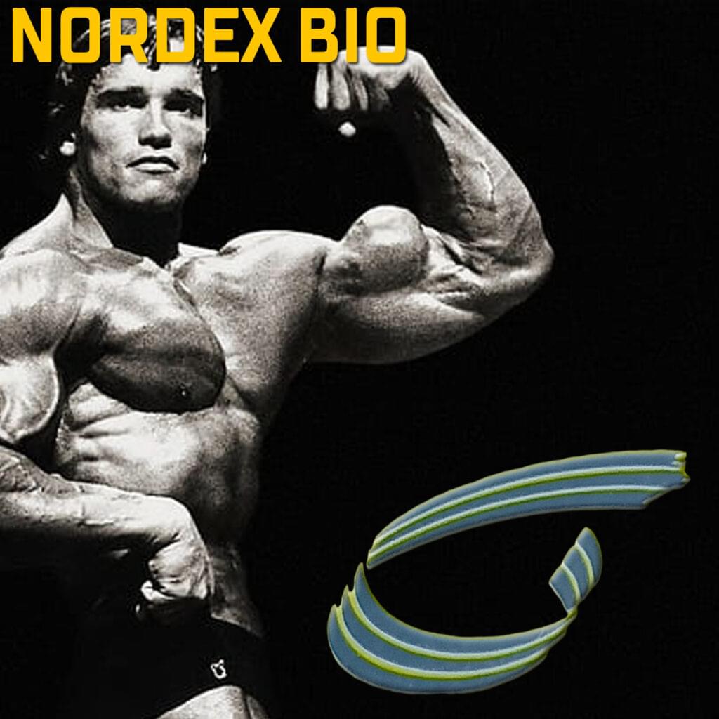 nordex