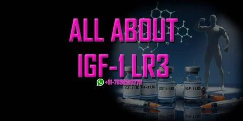 igf 1 lr3 dosage calculator bodybuilding IGF-1 LR3 Dosage Guide: Benefits, Timing, and Results